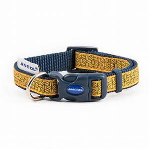 An Ancol dog collar in a mustard and blue colour with a dark blue plastic clasp and Ancol written on the clasp in white.