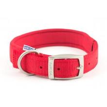 A bright red Ancol dog collar with a padded inside and a silver coloured buckle.