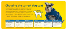 Load image into Gallery viewer, A large yellow rectangular image, with a dog wearing a blue Ancol Coat. Choosing the correct dog coat is written at the top in blue, and different size options explained in smaller boxes.