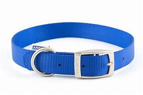 A bright blue Ancol nylon dog collar with a silver coloured buckle.