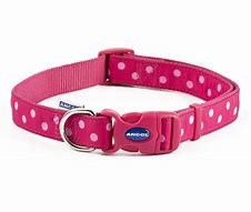A bright pink dog collar with light pink polka dots, and a pink clasp.