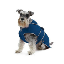 Load image into Gallery viewer, A grey dog, sitting down, wearing a navy blue Ancol dog coat with a strap around the belly area.
