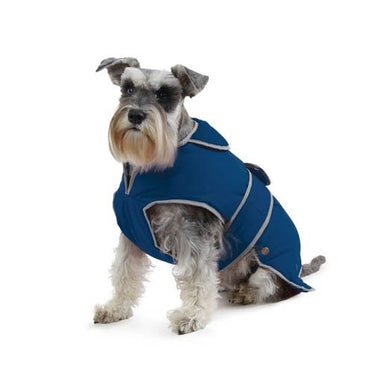 A grey dog, sitting down, wearing a navy blue Ancol dog coat with a strap around the belly area. 