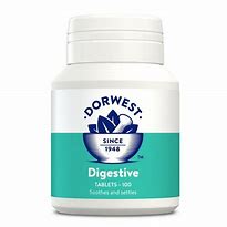 DORWEST : Digestive Tablets - 100