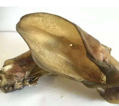 A close up of two natural dried buffalo ears on a white background