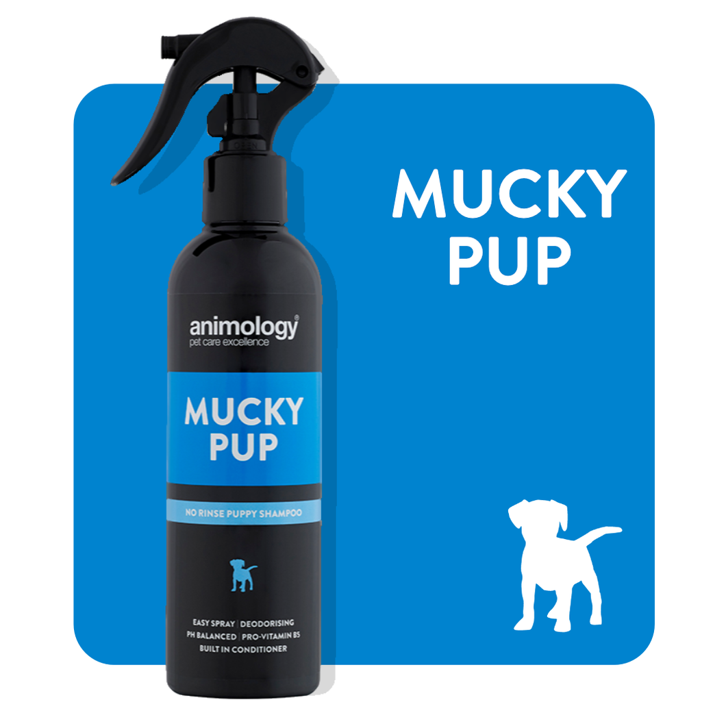 ANIMOLOGY : Mucky Pup No Rinse Puppy Shampoo