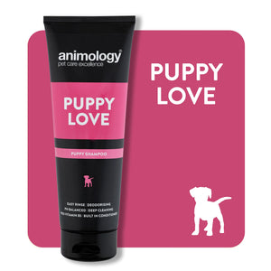 A bright pink background, with a black and pink tube of Animology Puppy Love Shampoo at the front, and Puppy Love written in white in the bottom right corner.