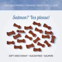 Load image into Gallery viewer, NOVA DOG CHEWS : Salmon Mini Bones 100g
