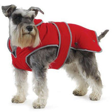 Load image into Gallery viewer, A grey dog, standing up down, wearing a red Ancol dog coat with a strap around the belly area. 
