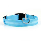 A pale blue dog collar with a black buckle.