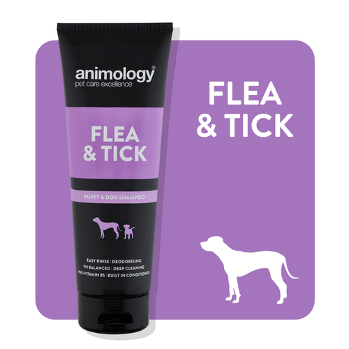A purple square background with a white silhouette of a dog in the bottom right corner. There is a black and purple bottle of Animology Flea & Tick Shampoo against the purple square.